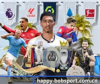 bob体育官网 APP(BOBSPORTS)
